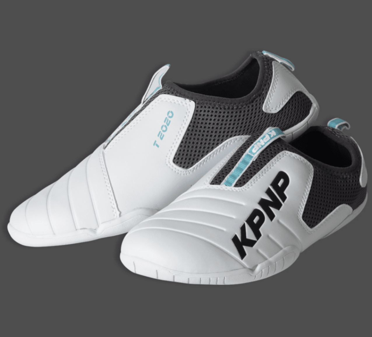 T2020 shoes