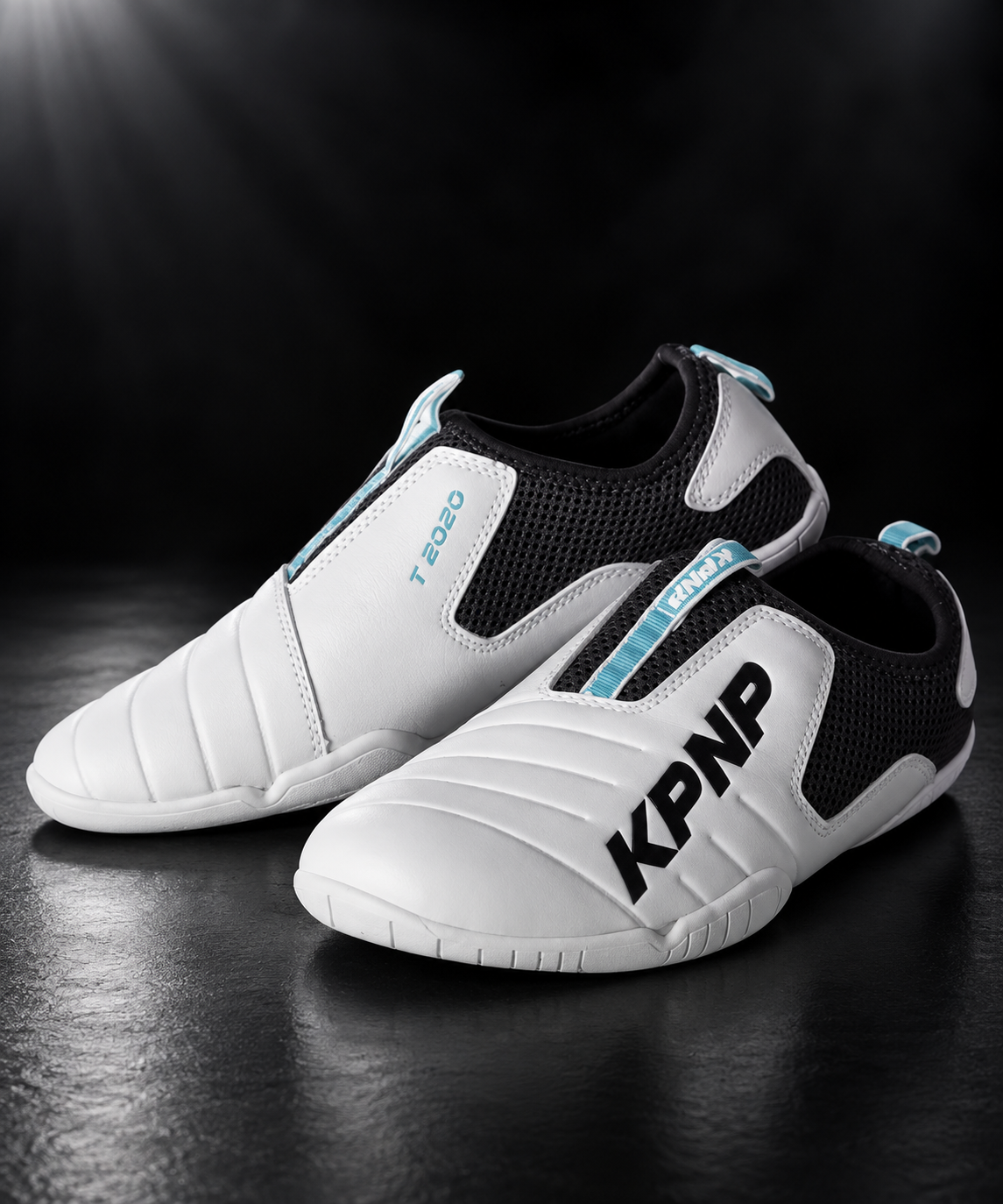 T2020 shoes