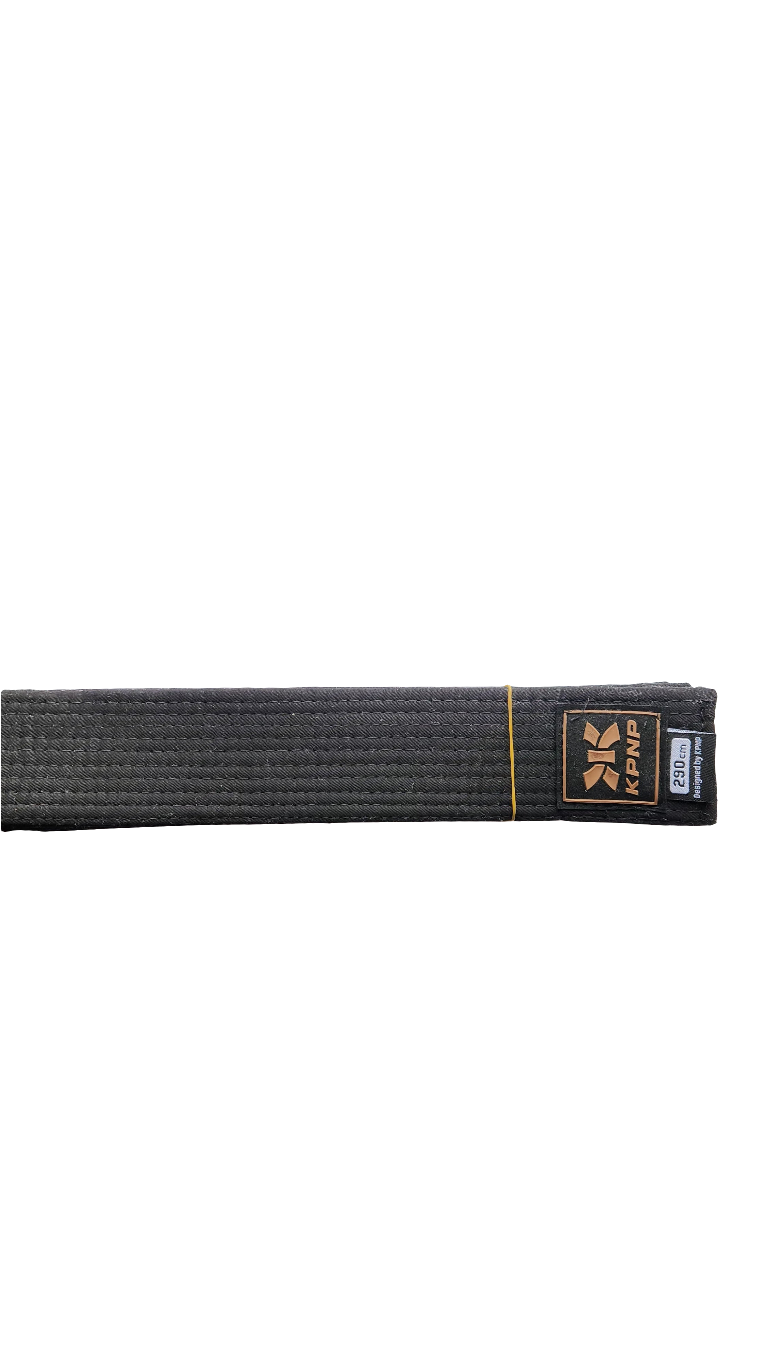 Belt Black